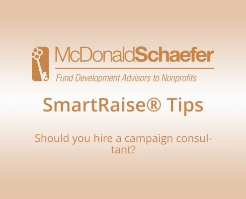 Should you hire a campaign consultant?