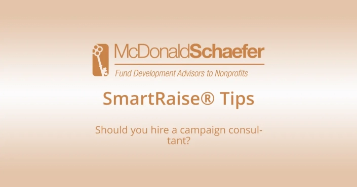 Should you hire a campaign consultant?